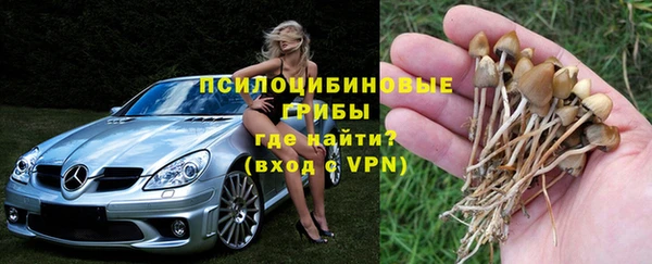 соль курить ск Шадринск